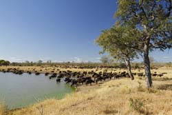 Mazhini Waterhole